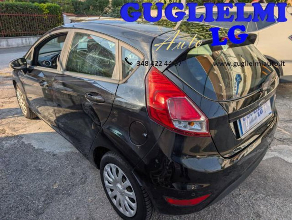 Ford Fiesta 1.4 5 porte Bz.- GPL Business N1 (5)