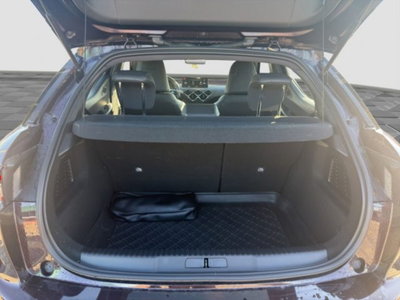 Ds DS 3 DS 3 Crossback BlueHDi 100 Business (13)