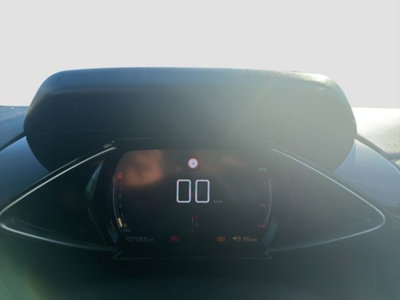 Ds DS 3 DS 3 Crossback BlueHDi 100 Business (14)