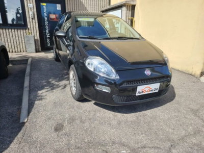 Fiat Punto 1.2 8V 5 porte Street usata