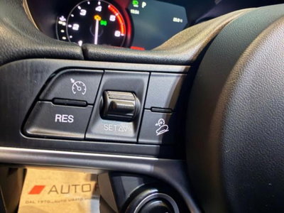 Alfa Romeo Stelvio Stelvio 2.2 Turbodiesel 180 CV AT8 RWD Executive (20)