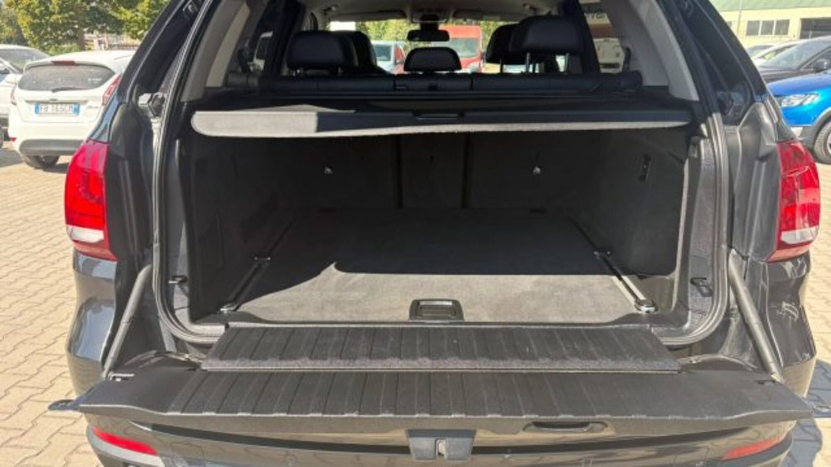 BMW X5 xDrive25d Business (20)