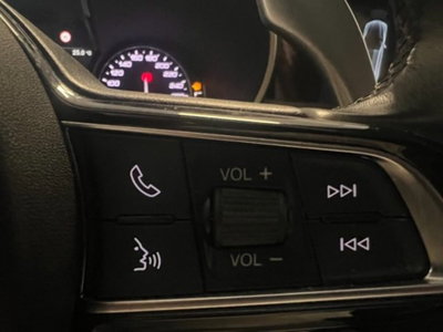 Alfa Romeo Stelvio Stelvio 2.2 Turbodiesel 210 CV AT8 Q4 Ti (11)