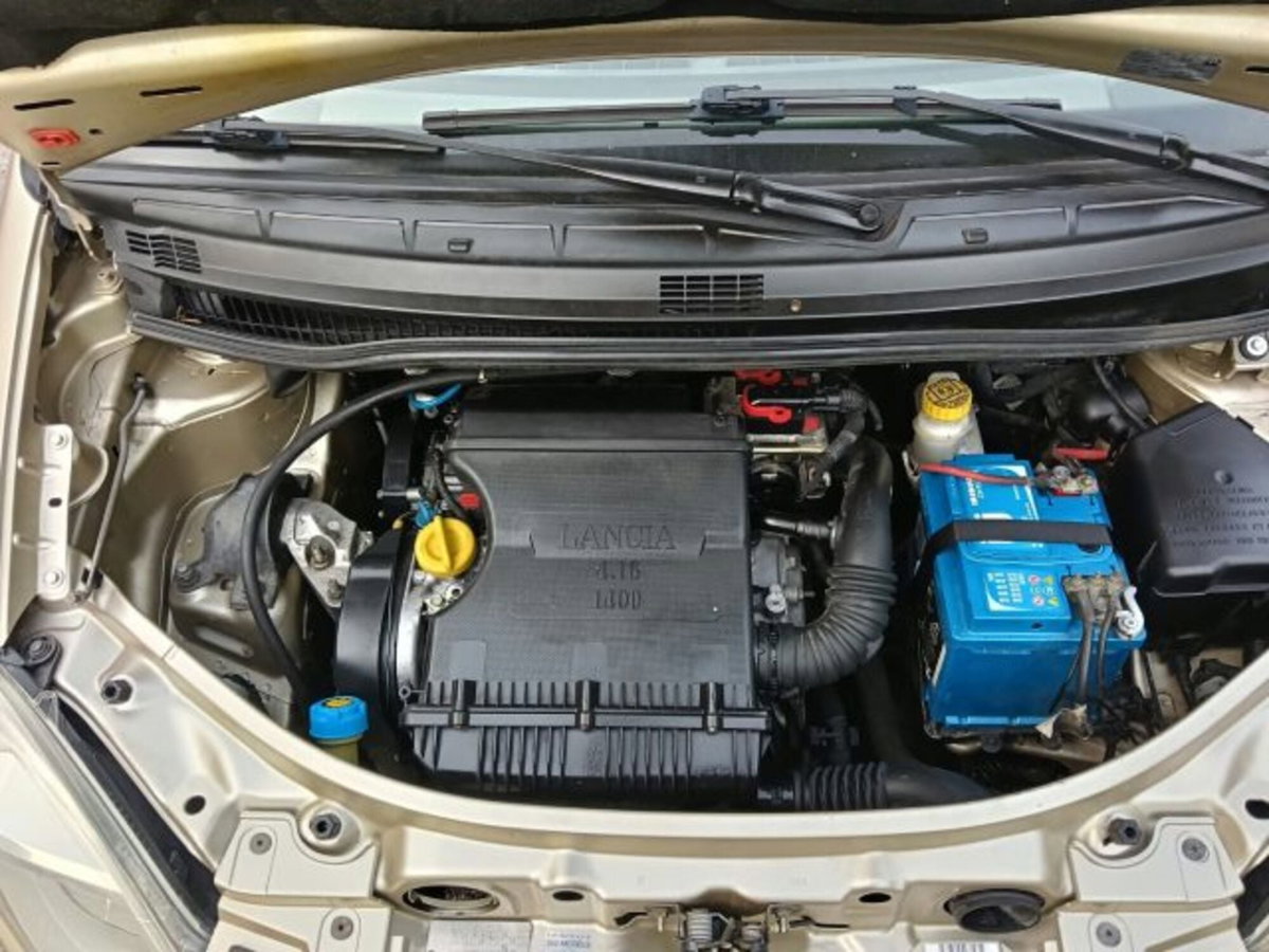 Lancia Musa 1.4 16V Platino (20)