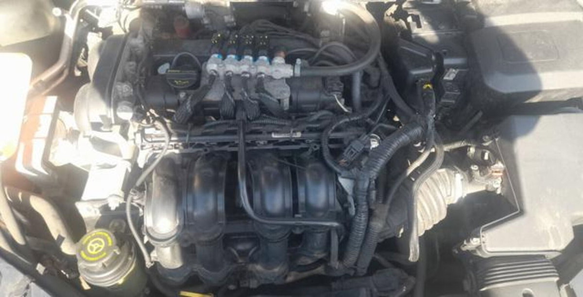 Ford Focus Station Wagon 1.6 (115CV) SW Bz.- GPL Titanium (14)