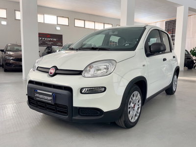 Fiat Panda 1.0 FireFly S&S Hybrid usata