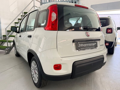 Fiat Panda 1.0 FireFly S&S Hybrid (11)