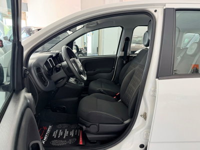Fiat Panda 1.0 FireFly S&S Hybrid (12)