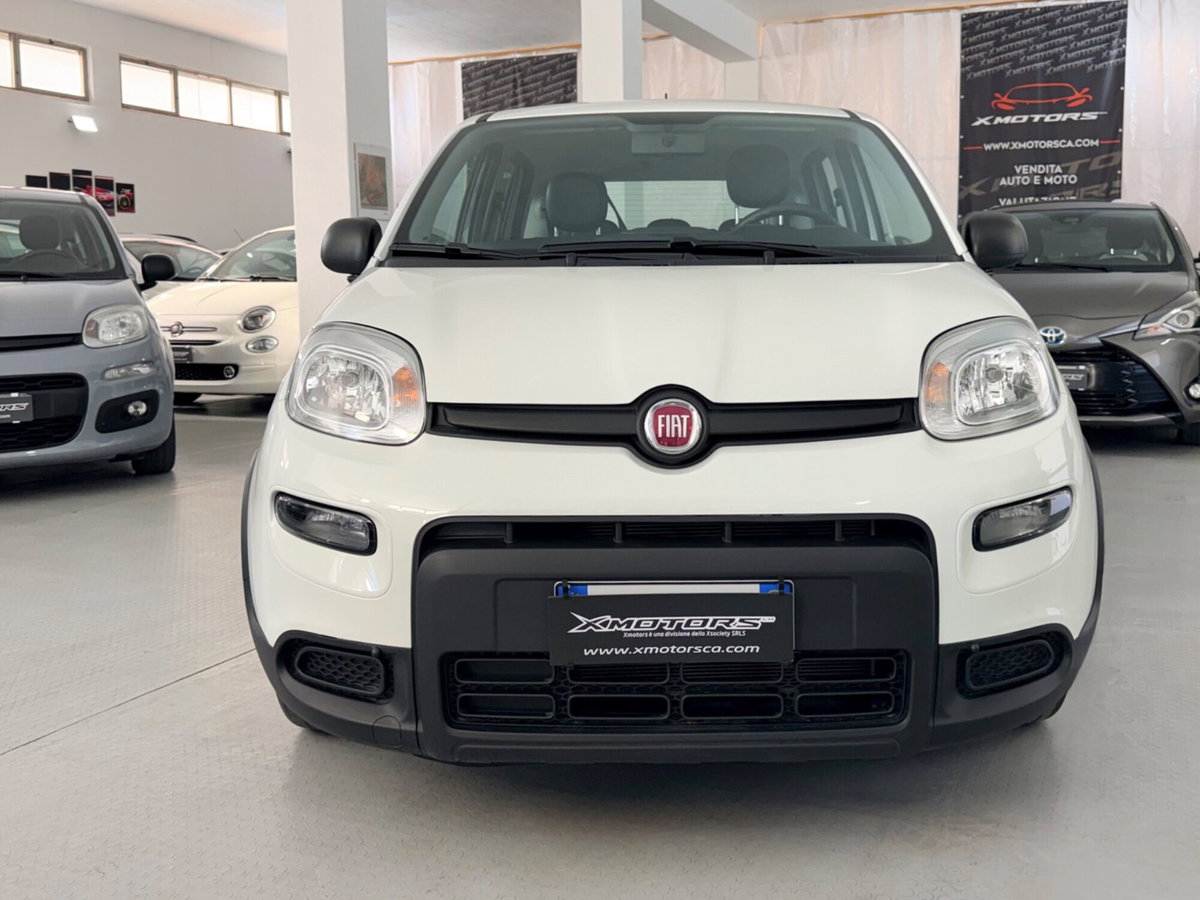 Fiat Panda 1.0 FireFly S&S Hybrid (2)