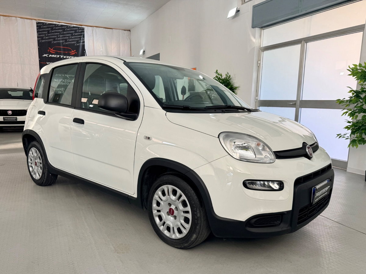 Fiat Panda 1.0 FireFly S&S Hybrid (3)