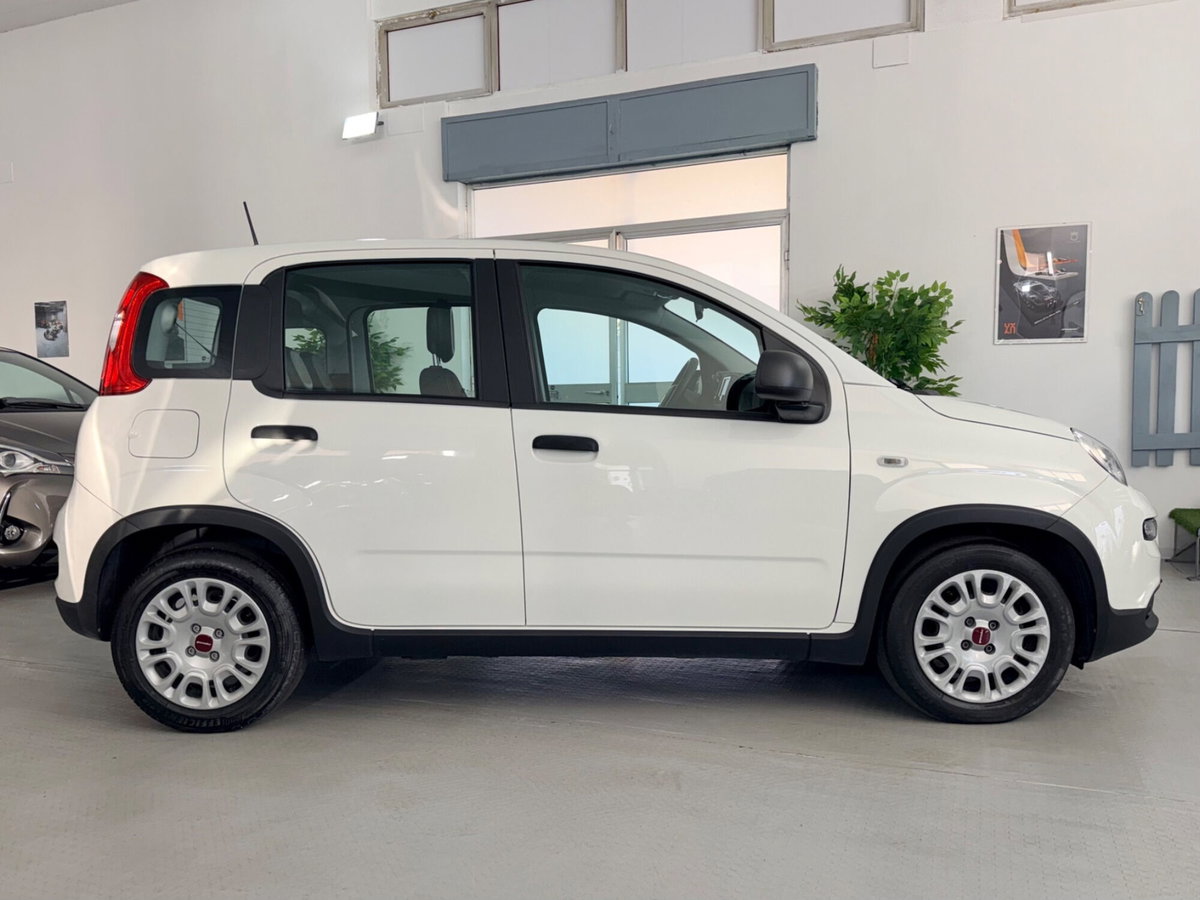 Fiat Panda 1.0 FireFly S&S Hybrid (4)