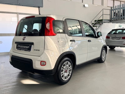 Fiat Panda 1.0 FireFly S&S Hybrid (5)