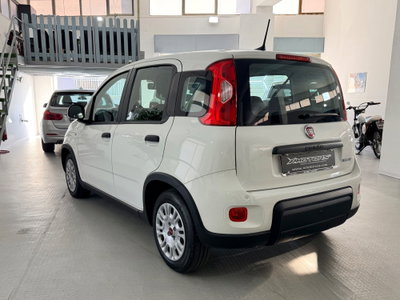 Fiat Panda 1.0 FireFly S&S Hybrid (7)