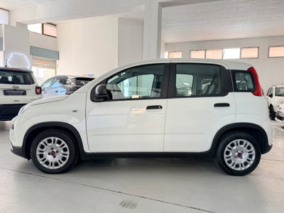 Fiat Panda 1.0 FireFly S&S Hybrid (8)