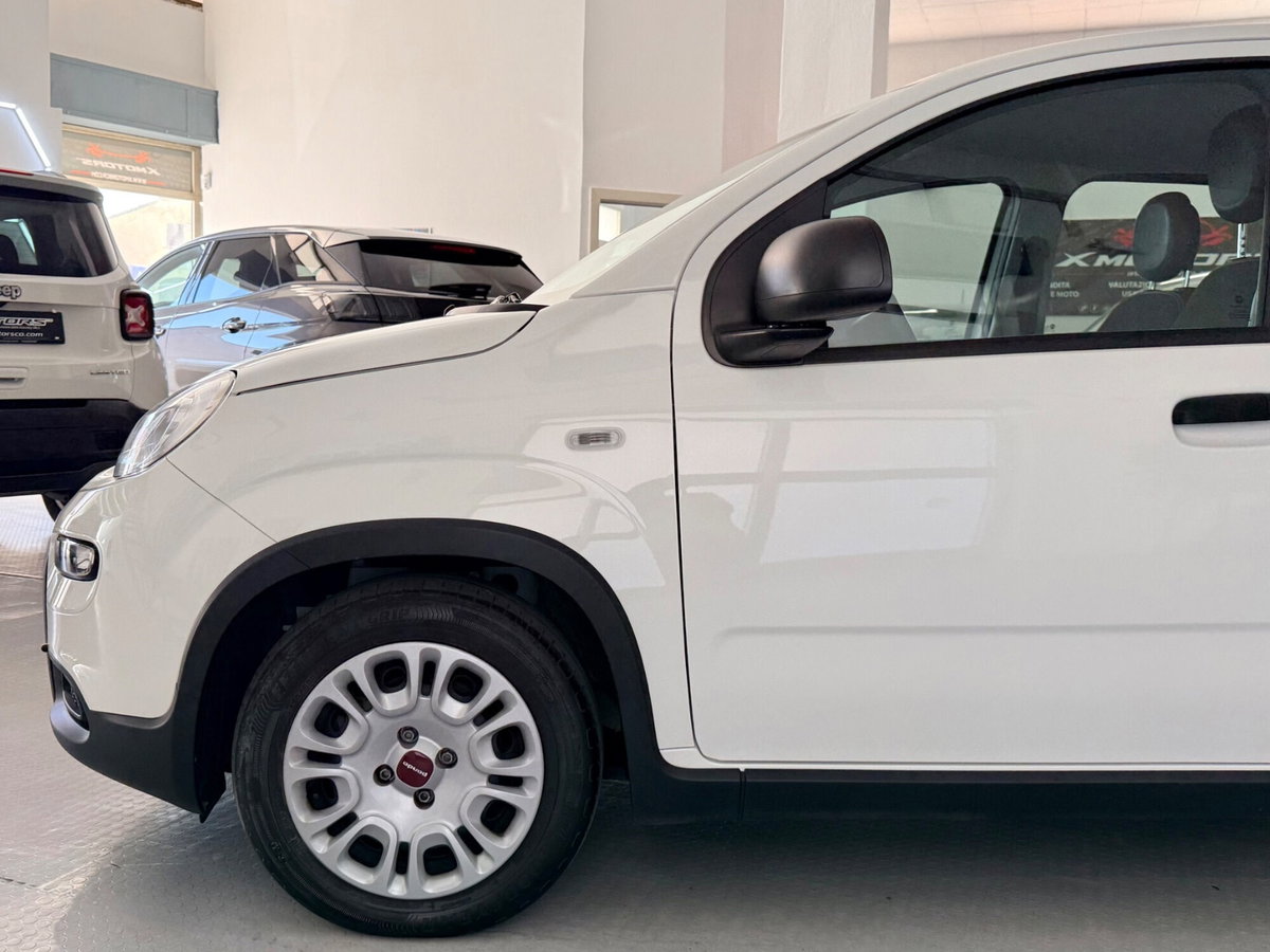 Fiat Panda 1.0 FireFly S&S Hybrid (9)