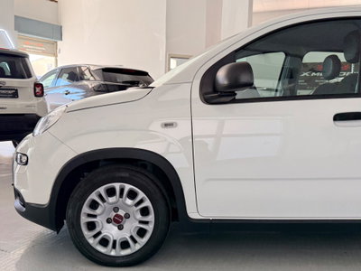 Fiat Panda 1.0 FireFly S&S Hybrid (9)