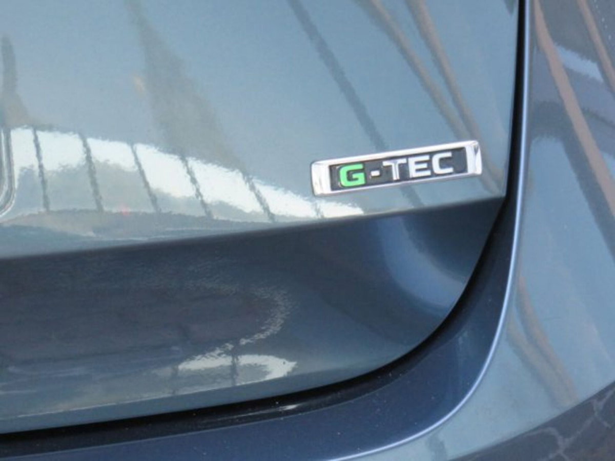 Skoda Octavia Station Wagon 1.5 G-TEC DSG Wagon Executive (5)