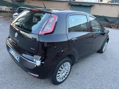 Fiat Punto Evo 1.3 Mjt 75 CV 5 porte Dynamic (5)