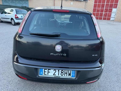 Fiat Punto Evo 1.3 Mjt 75 CV 5 porte Dynamic (6)