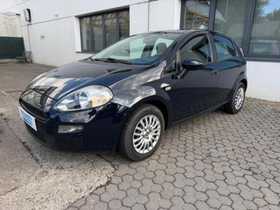 Fiat Punto 1.2 8V 5 porte Street