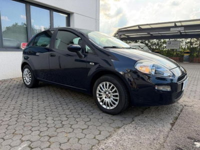 Fiat Punto 1.2 8V 5 porte Street (3)