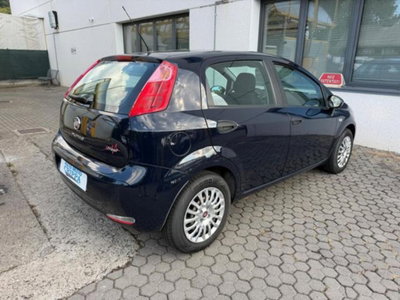 Fiat Punto 1.2 8V 5 porte Street (4)