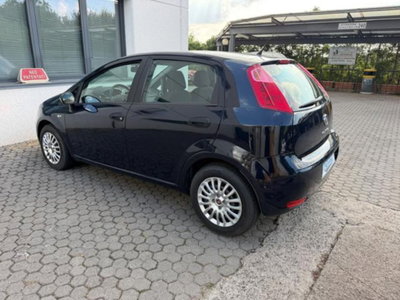 Fiat Punto 1.2 8V 5 porte Street (6)
