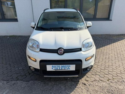 Fiat Panda 1.3 MJT S&S 4x4 (2)