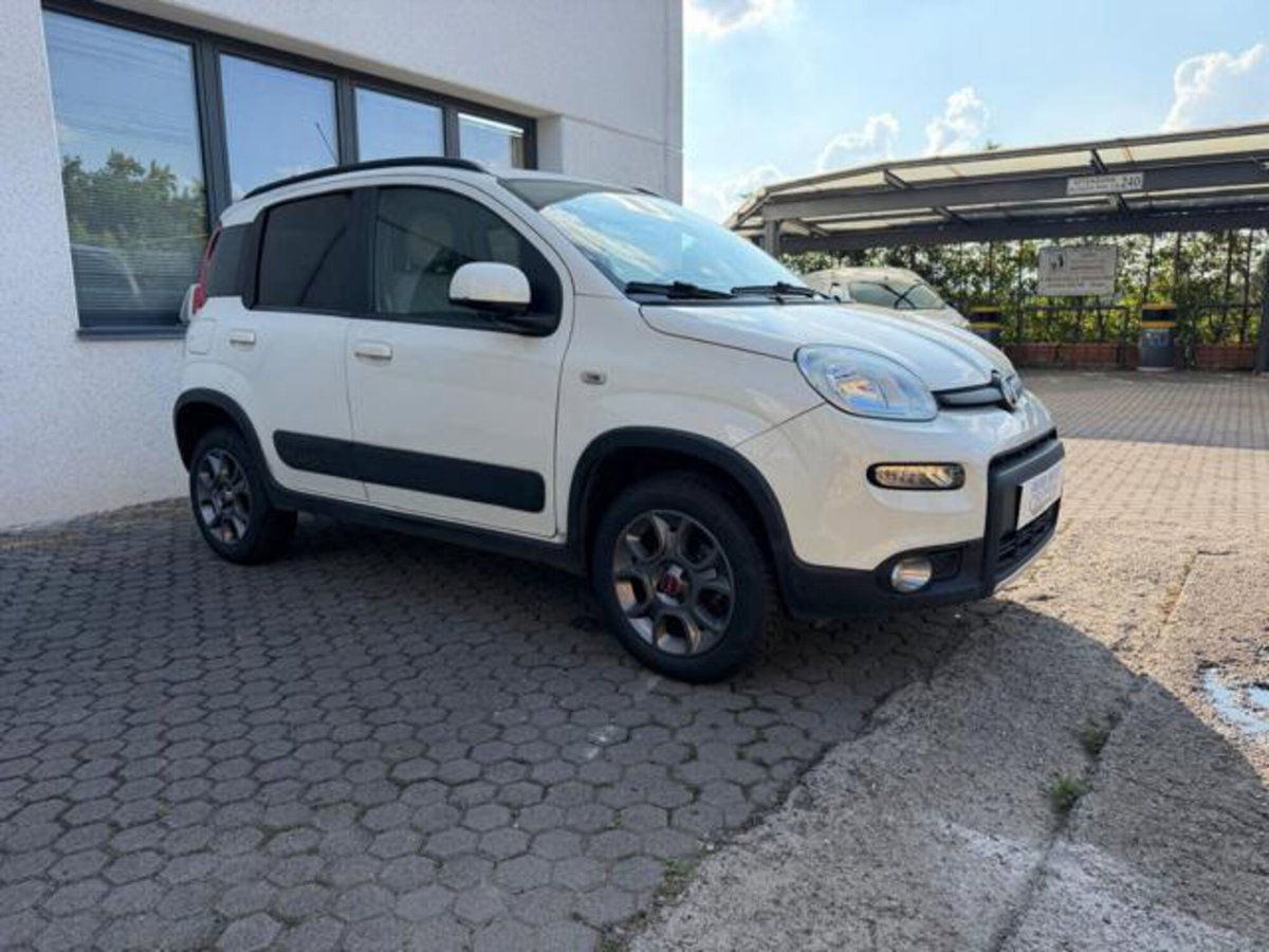 Fiat Panda 1.3 MJT S&S 4x4 (3)
