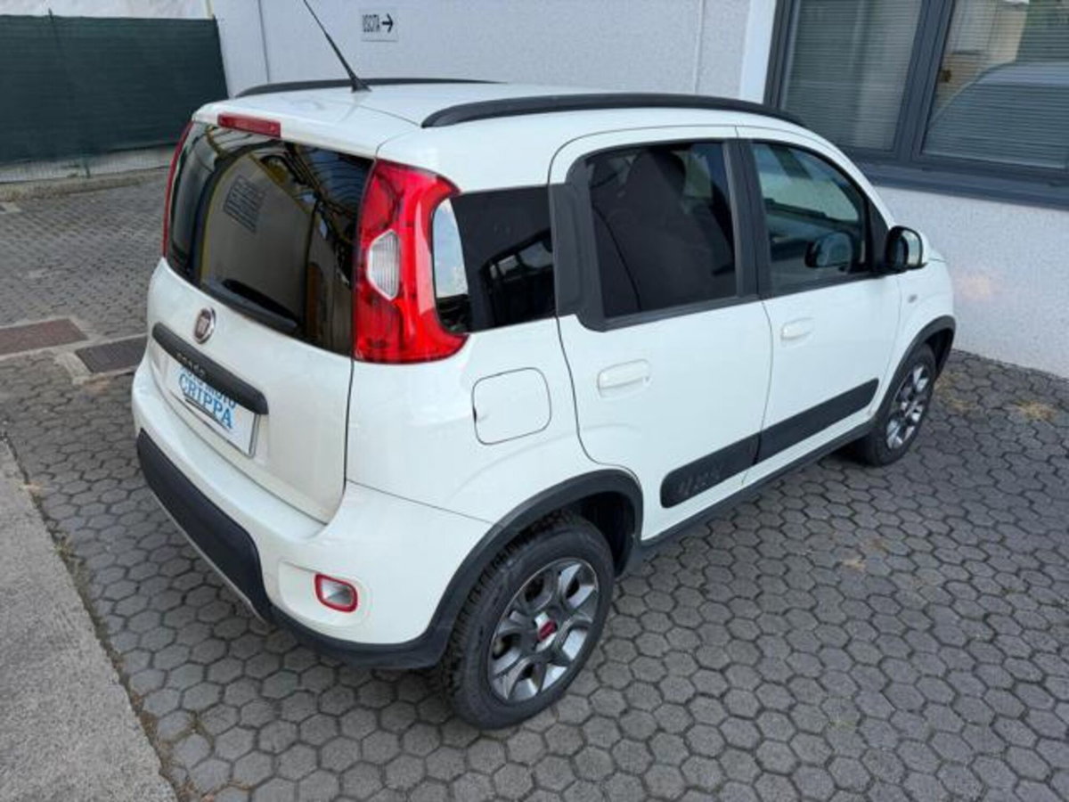 Fiat Panda 1.3 MJT S&S 4x4 (5)