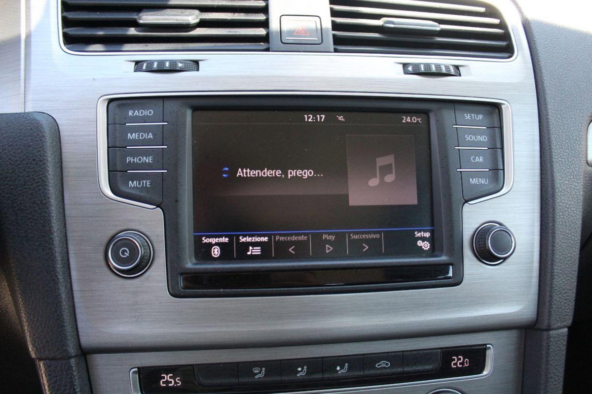 Volkswagen Golf 1.6 TDI 110 CV 5p. Sport Edition BlueMotion Technology (15)