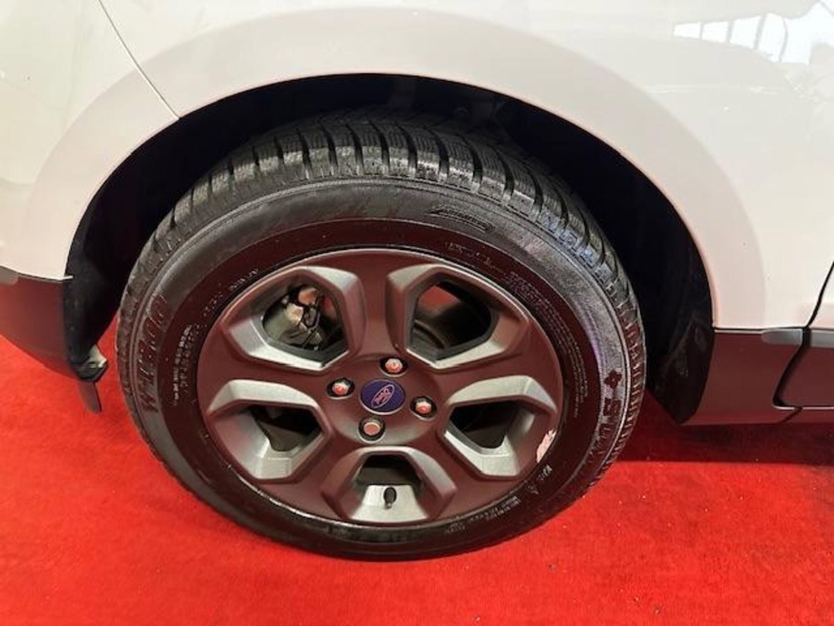 Ford EcoSport 1.5 TDCi 100 CV Start&Stop Plus (15)