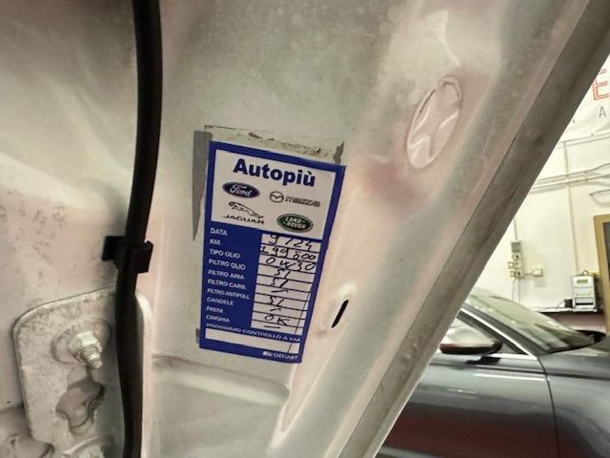 Ford EcoSport 1.5 TDCi 100 CV Start&Stop Plus (19)