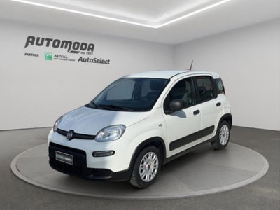 Fiat Panda van 1.0 hybrid Street 70cv 4p.ti serie 4 E6d