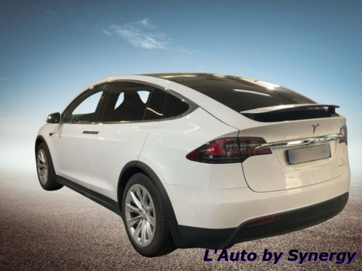 Tesla Model X Model X Performance AWD (2)