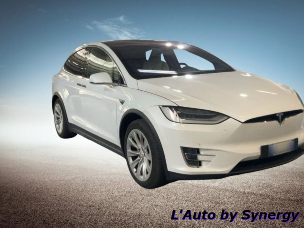 Tesla Model X Model X Performance AWD (4)