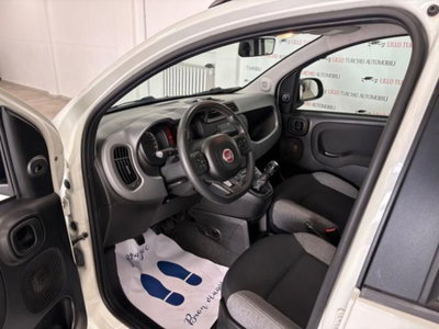 Fiat Panda 1.0 firefly hybrid s&s 70cv 5p.ti (10)
