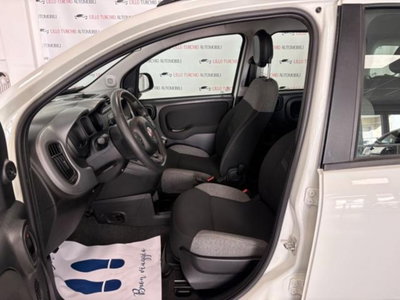 Fiat Panda 1.0 firefly hybrid s&s 70cv 5p.ti (11)