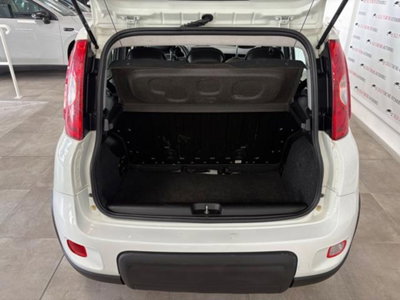 Fiat Panda 1.0 firefly hybrid s&s 70cv 5p.ti (15)