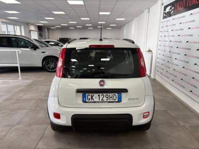 Fiat Panda 1.0 firefly hybrid s&s 70cv 5p.ti (5)