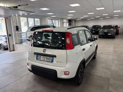 Fiat Panda 1.0 firefly hybrid s&s 70cv 5p.ti (6)