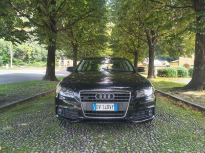 Audi A4 Avant 2.0 TDI 170CV F.AP. quattro usata