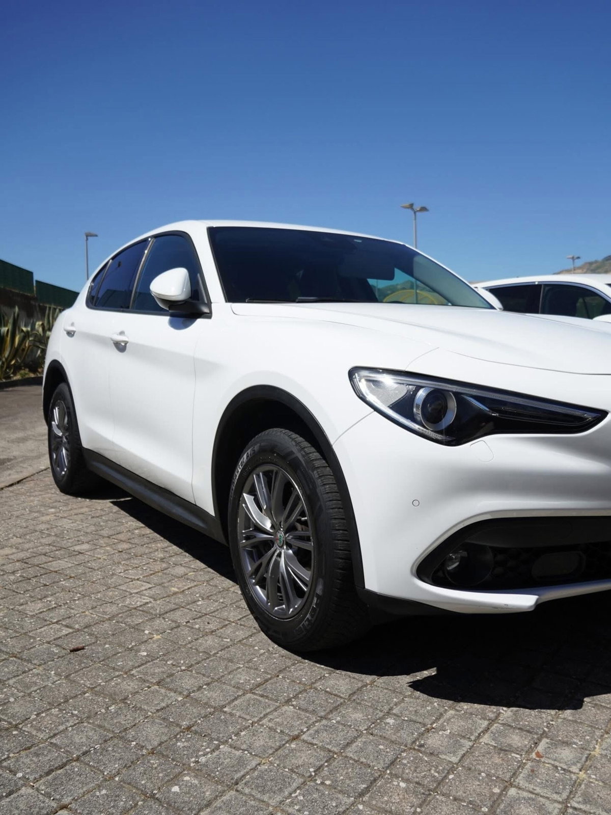 Alfa Romeo Stelvio Stelvio 2.2 Turbodiesel 210 CV AT8 Q4 Super (2)