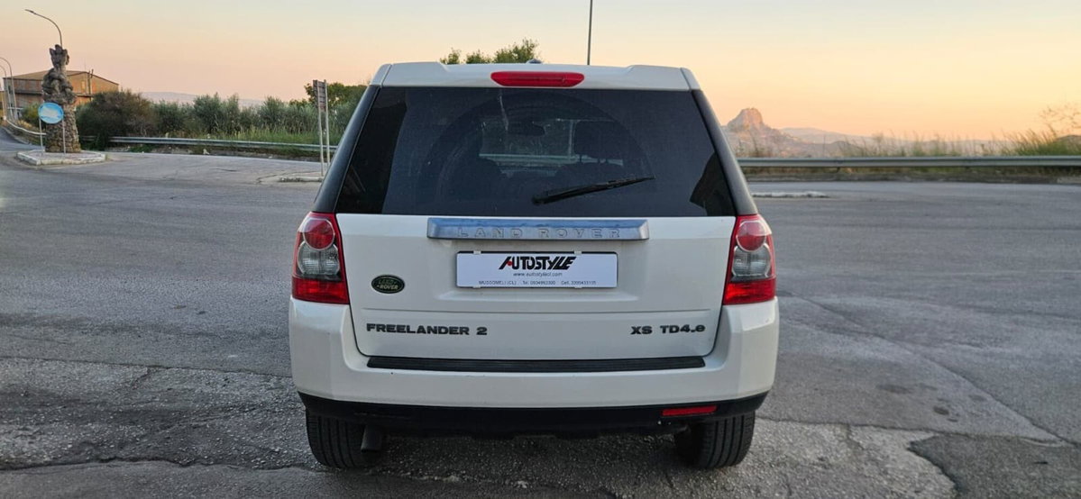Land Rover Freelander 2.2 TD4 S.W. XS (4)