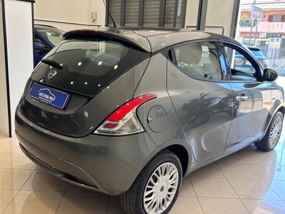 Lancia Ypsilon 1.2 69 CV 5 porte Gold (11)
