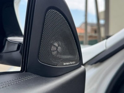 BMW Serie 4 Cabrio M4 (20)
