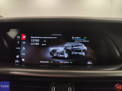 Alfa Romeo Stelvio Stelvio 2.2 Turbodiesel 160 CV AT8 RWD Sprint (15)