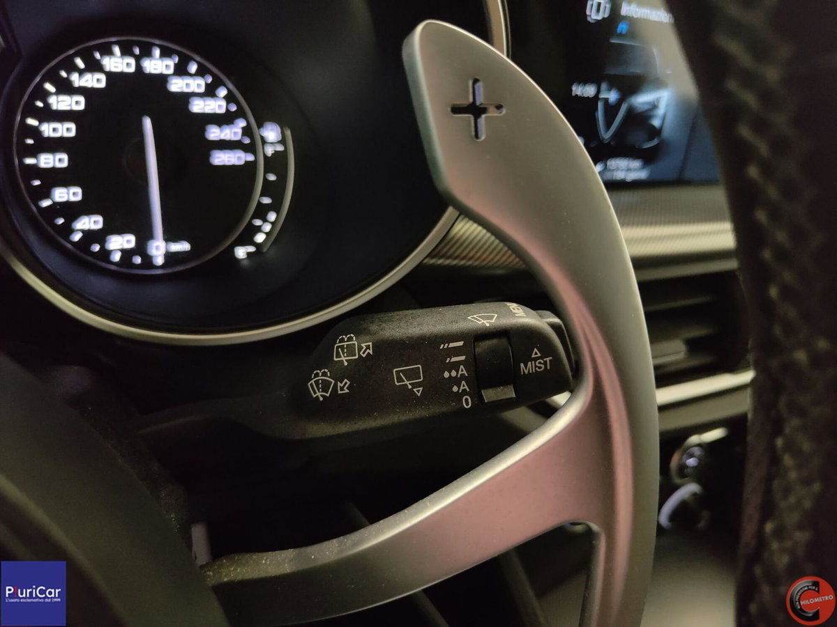 Alfa Romeo Stelvio Stelvio 2.2 Turbodiesel 160 CV AT8 RWD Sprint (19)