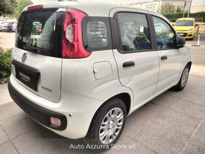 Fiat Pandina 1.0 firefly hybrid Icon s&s 65cv (4)