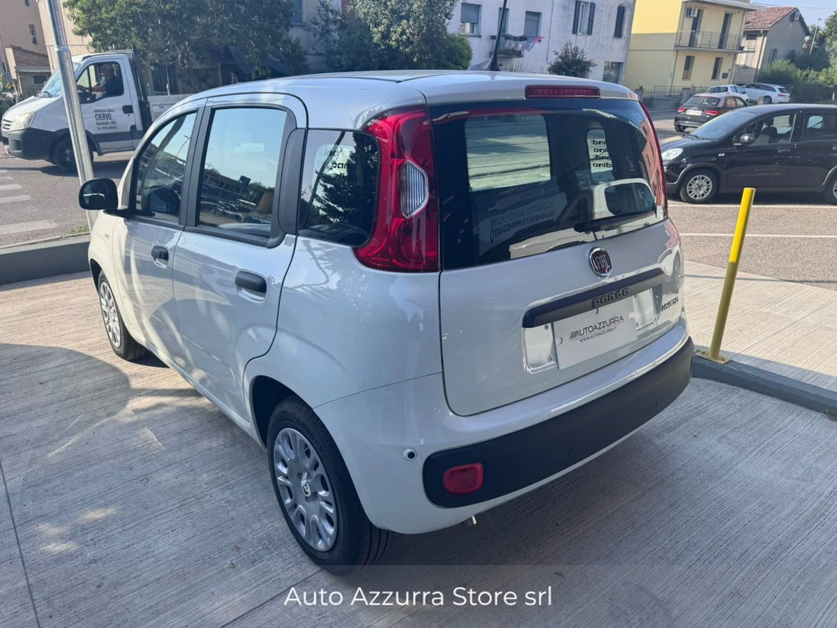 Fiat Panda Cross Cross 1.0 FireFly S&S Hybrid (3)